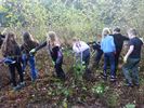 Leerlingen doen heidebeheer in Vallei van de Abeek