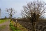 Driekoningenwandeling in De Vennen