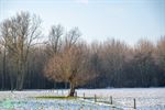 Wandelen langs De Holen