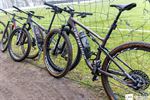 Topeditie mountainbiketocht Kattenbos Bevers