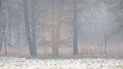 De eerste sneeuw, door de lens van Leon