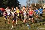 56ste veldloop DALO bij prachtig weer