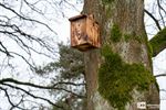 Vogelhuisjes op de Duitse militaire begraafplaats