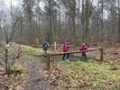 Wandelend Paal in Koersel