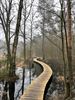 Wandelend Paal in Koersel