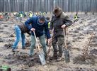 Plantactie voor een groener Nationaal Park Bosland