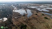 Twee paarden, 52 runderen en veel water