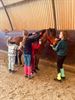 Carnavalskamp bij ponyclub De Vlindervallei