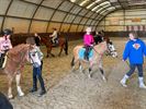 Carnavalskamp bij ponyclub De Vlindervallei