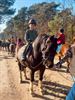 Carnavalskamp bij ponyclub De Vlindervallei