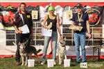 Belgisch Kampioenschap sledehonden in Lommel