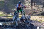 Belgisch Kampioenschap sledehonden in Lommel