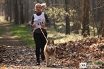 Belgisch Kampioenschap sledehonden in Lommel