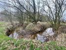 Mooie wandeldag Wandelclub Paul Gerard