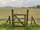 Mooie wandeldag Wandelclub Paul Gerard