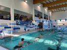 Neerpeltse Watersportclub wint Swim for Life