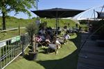 Zomerbar Xperience