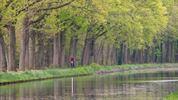 Frisgroene kleuren in de natuur