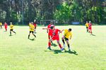 Drie dagen jeugdvoetbalplezier in Lommel