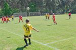 Drie dagen jeugdvoetbalplezier in Lommel