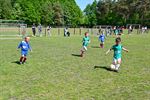 Drie dagen jeugdvoetbalplezier in Lommel