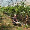 Ferm Koersel snoept van lekkere aardbeien