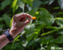 Boudewijnschool op expeditie in de Vossemeren