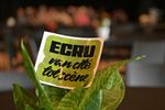 ECRU-dag in het teken van jongeren