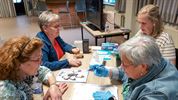 Geslaagde Open FERM activiteit