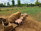 Okra Beringen-Noord op uitstap