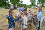 Molenfeesten waren een groot succes