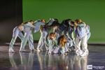 Dansspektakel van dansschool DVision