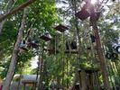 Survivalweekend Zensation Martial Arts Lommel