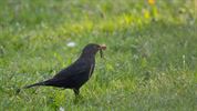 Gezellig samen in de natuur