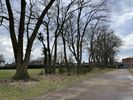 Hechtel-Eksel wint prijs voor houtkantbeheer