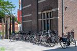 Een stille drukte in De Stroming