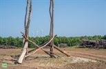 Ecoduct Waaltjesbos officieel geopend