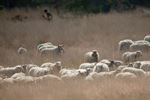 Bewoners en ex-bewoners van de Blekerheide