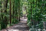 Puffen en zweten tijdens Grensparkwandeling