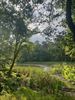 Wandelen in Korspel