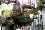 Marcella Stappers tussen wind, water en bloemen