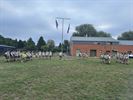 Scouts Beringen-Mijn vertrokken op kamp