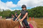 Paardenkamp voor clubleden: leren en veel pret