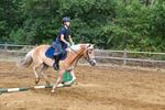 Paardenkamp voor clubleden: leren en veel pret