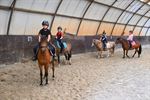 Paardenkamp voor clubleden: leren en veel pret