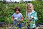 Dieren knuffelen en soep slurpen
