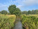 Meldert, parel in de vallei van de Zwarte Beek