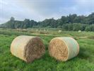 Meldert, parel in de vallei van de Zwarte Beek