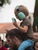 Rock & Roll met Guy Swinnen