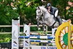 Zomerjumping Dagen van het Paard